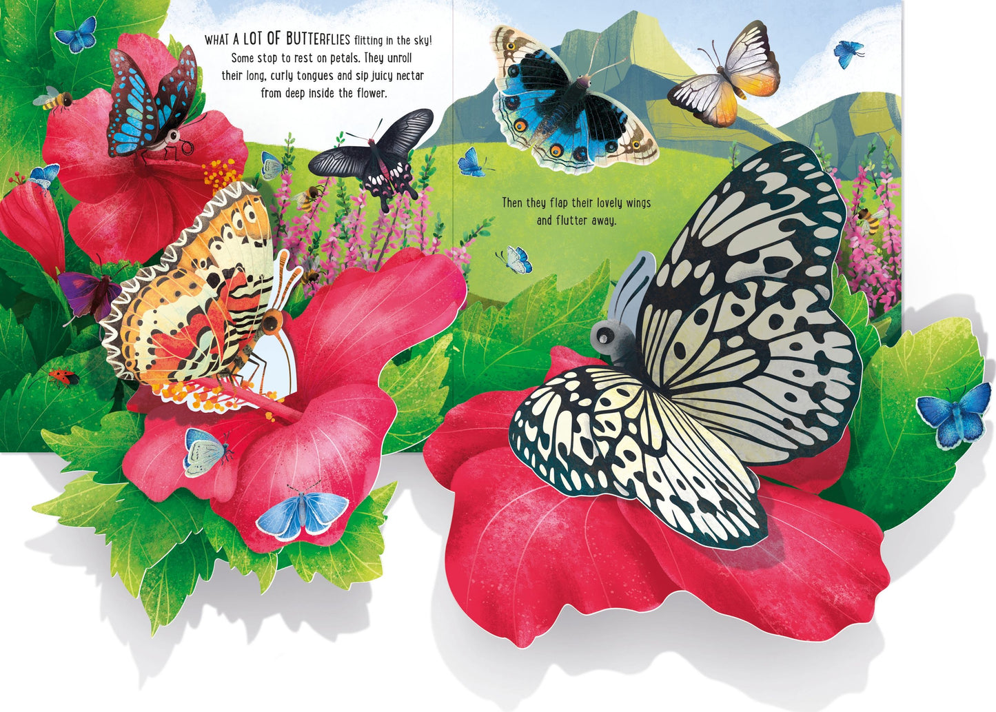 Carte 3D - Pop-Up Butterflies, Usborne