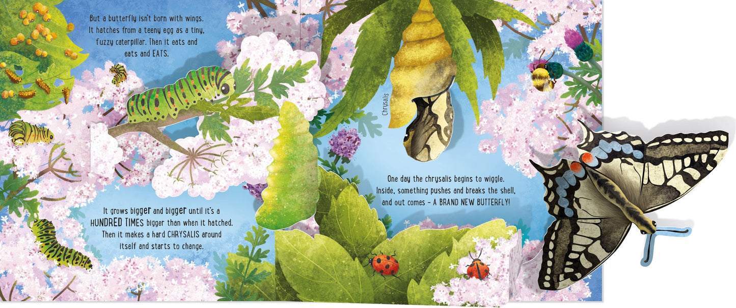 Carte 3D - Pop-Up Butterflies, Usborne