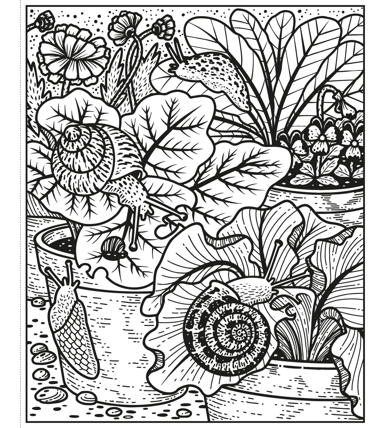 Carte pictura cu apa - Garden Magic Painting Book, Usborne
