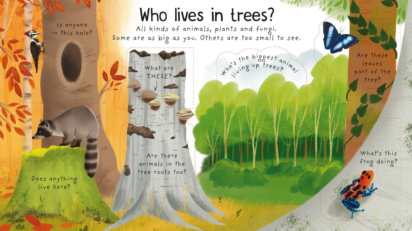 Carte clapete pentru copii - First Questions and Answers: Why do we need trees?, Usborne, 4 ani+