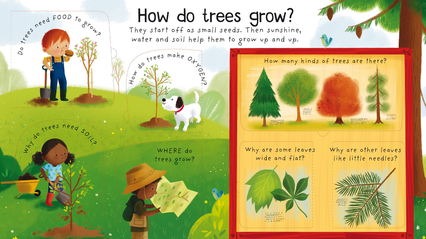 Carte clapete pentru copii - First Questions and Answers: Why do we need trees?, Usborne, 4 ani+