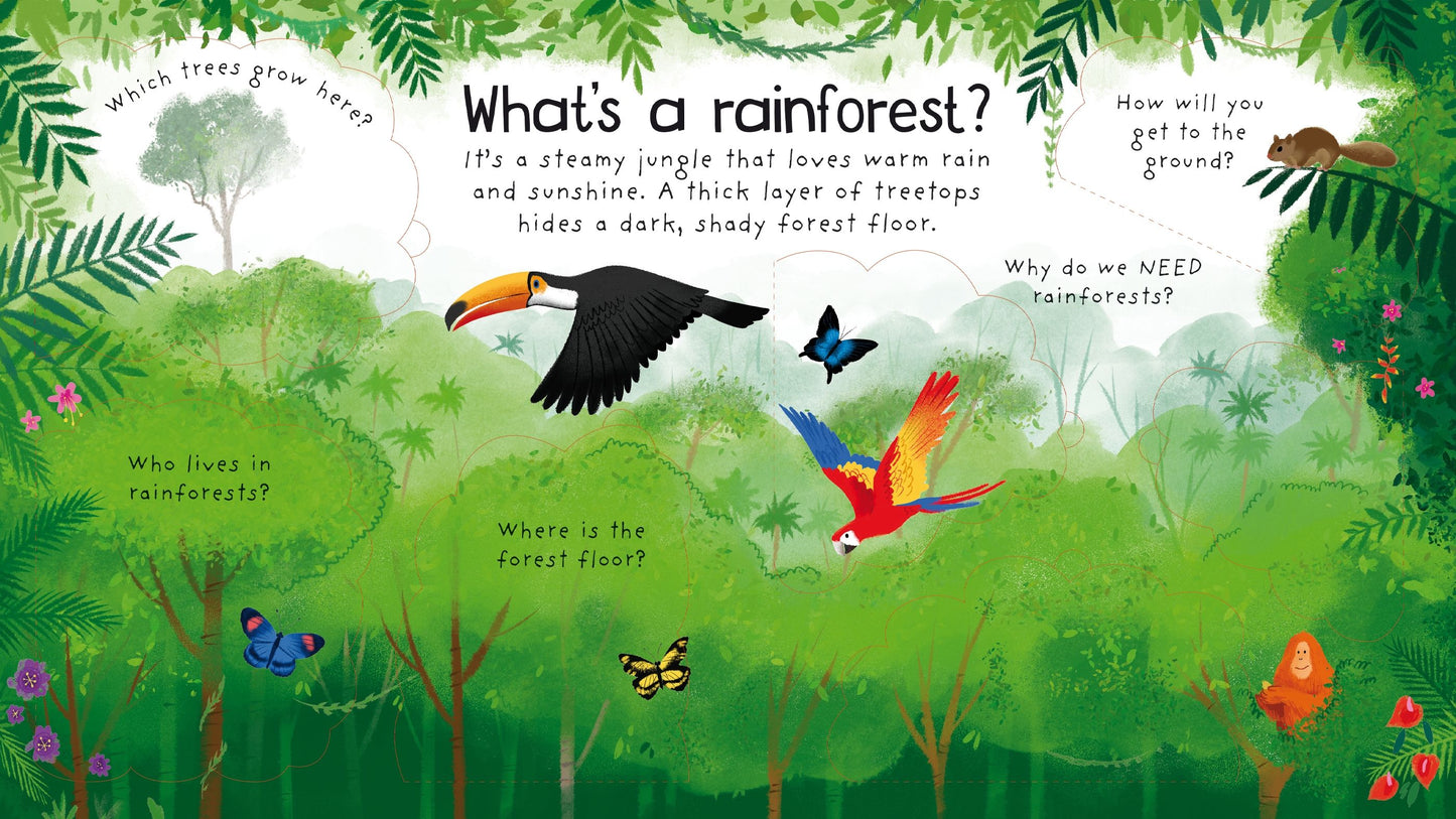 Carte clapete pentru copii - First Questions and Answers: Why do we need trees?, Usborne, 4 ani+