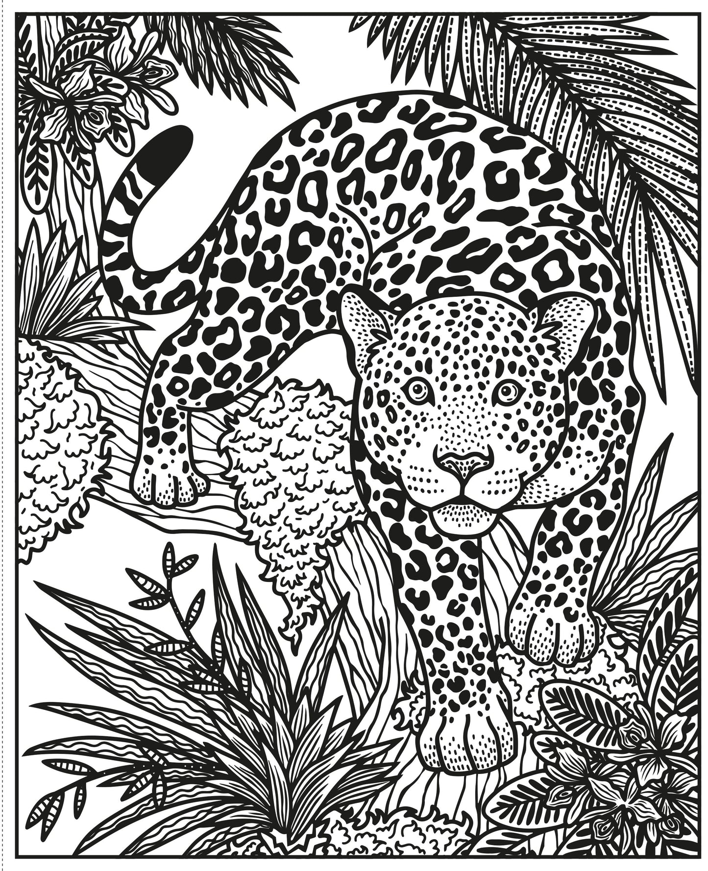 Carte pictura cu apa - Wild Animals Magic Painting Book, Usborne