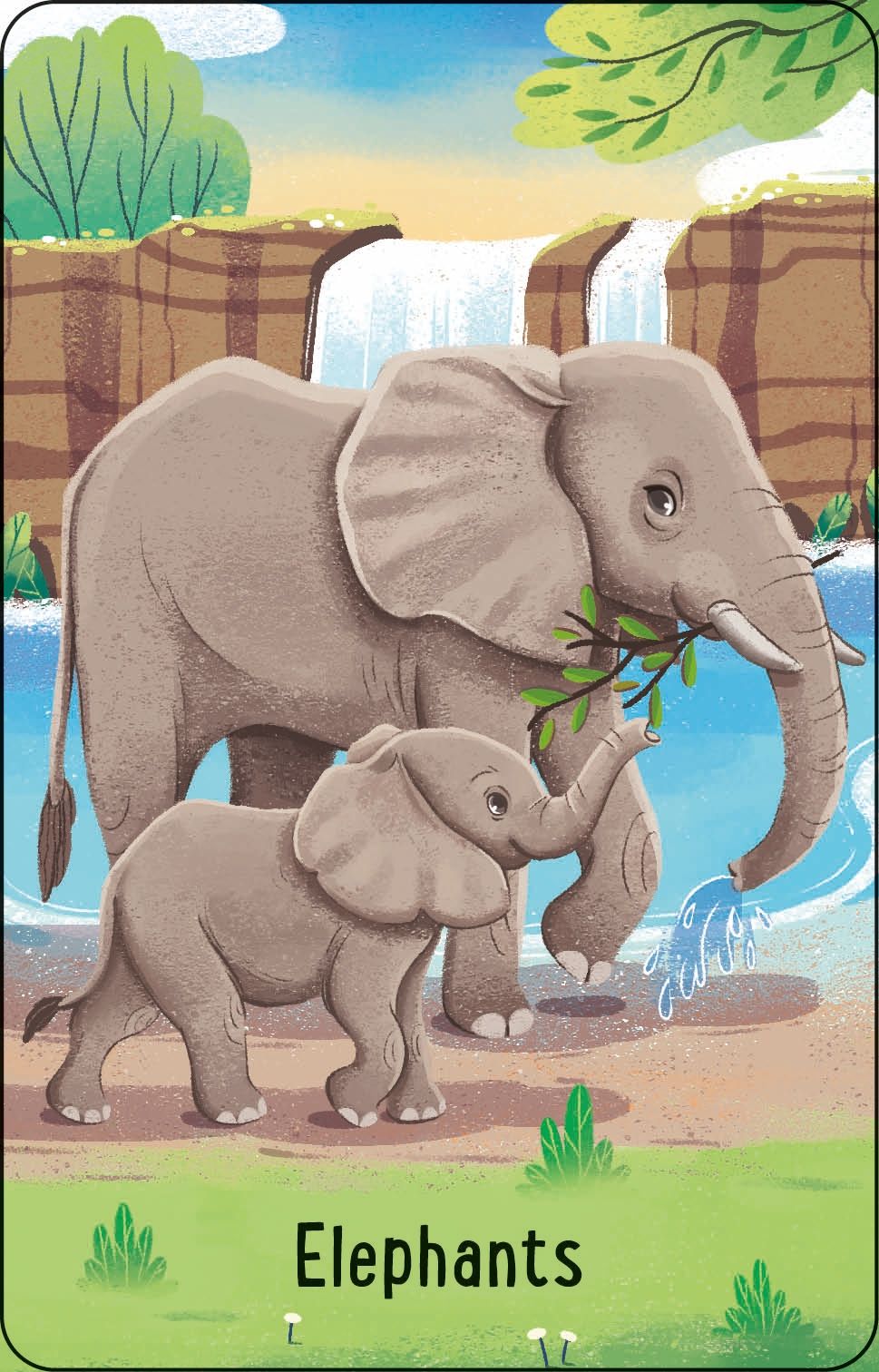 Carte copii - Zoo Snap, Usborne