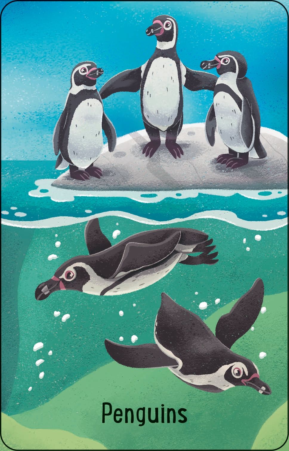 Carte copii - Zoo Snap, Usborne
