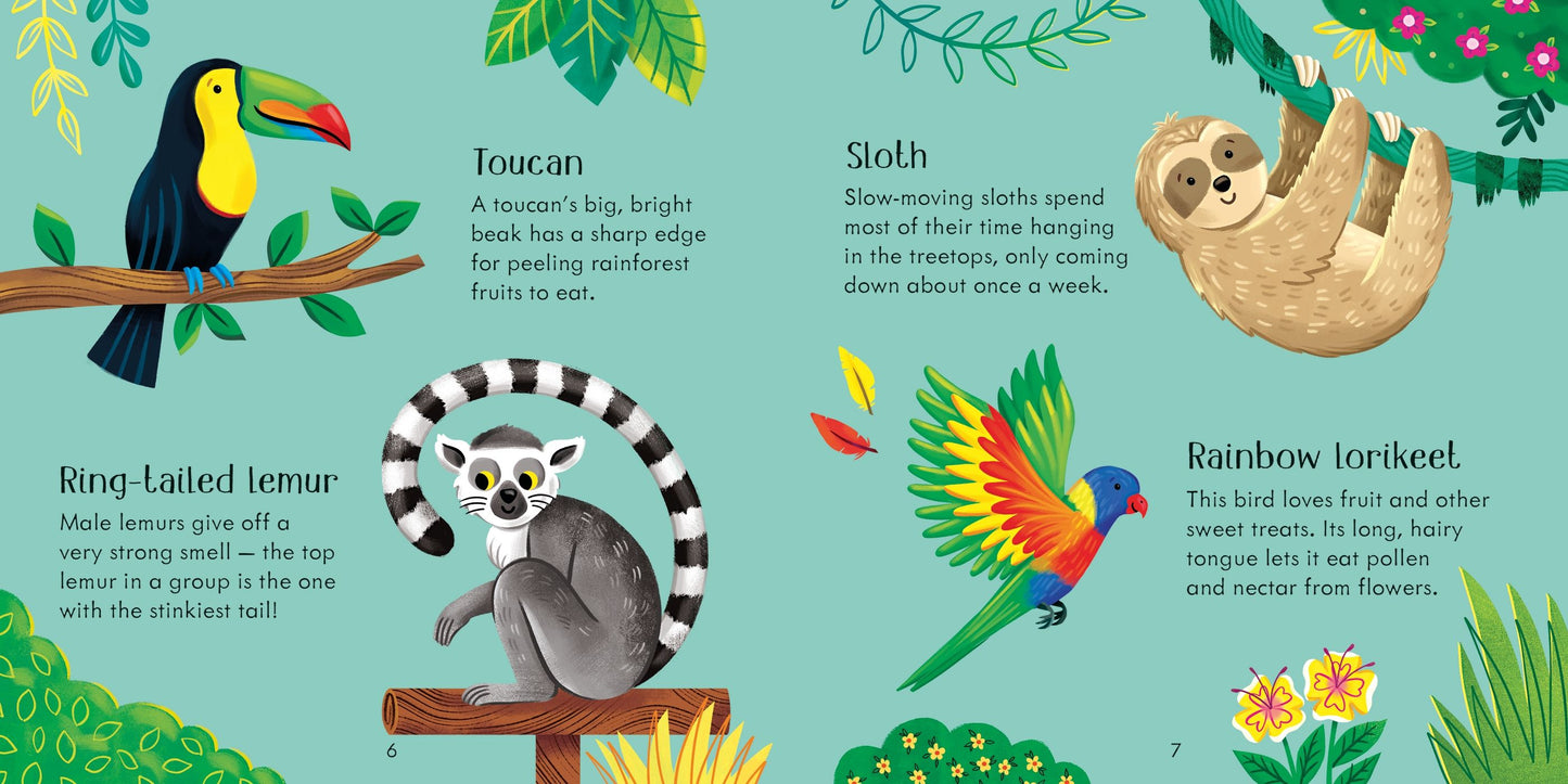 Joc copii potrivire - Zoo Matching Games and Book, Usborne