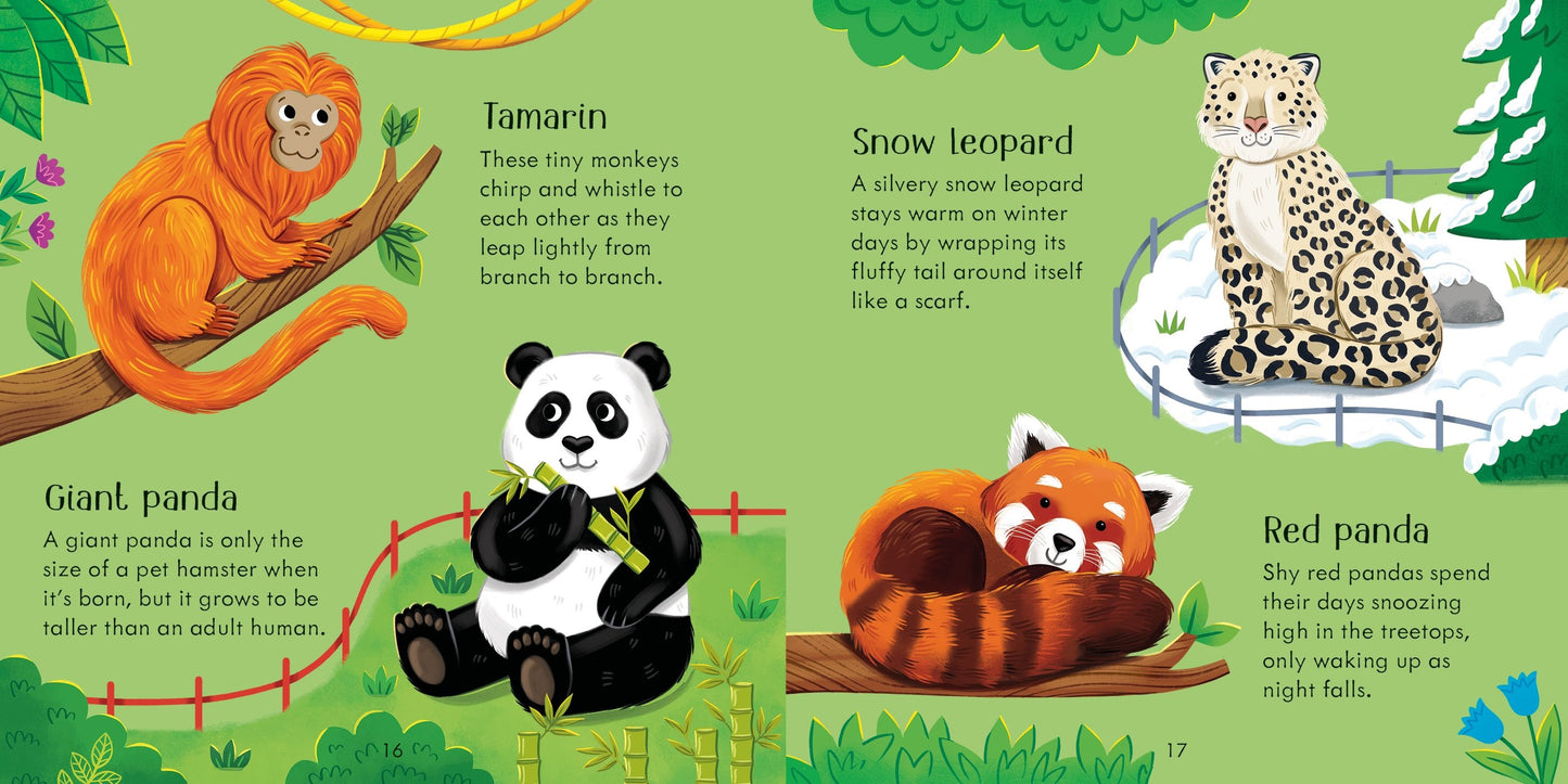 Joc copii potrivire - Zoo Matching Games and Book, Usborne