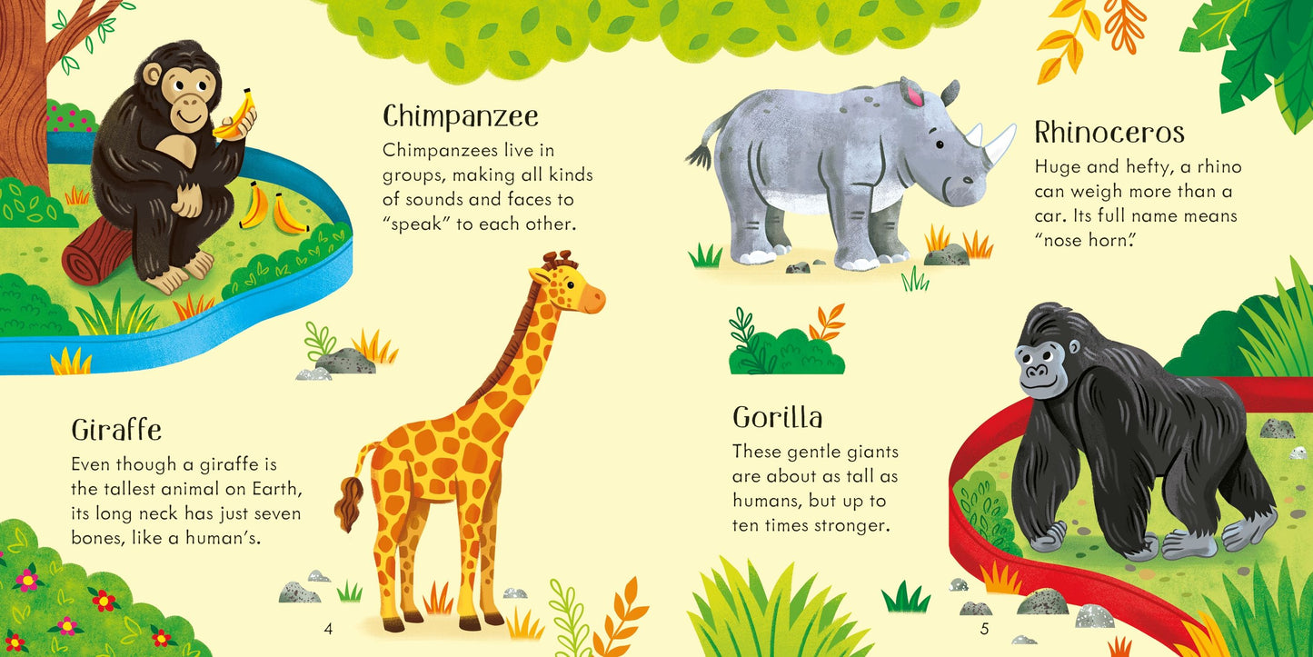 Joc copii potrivire - Zoo Matching Games and Book, Usborne