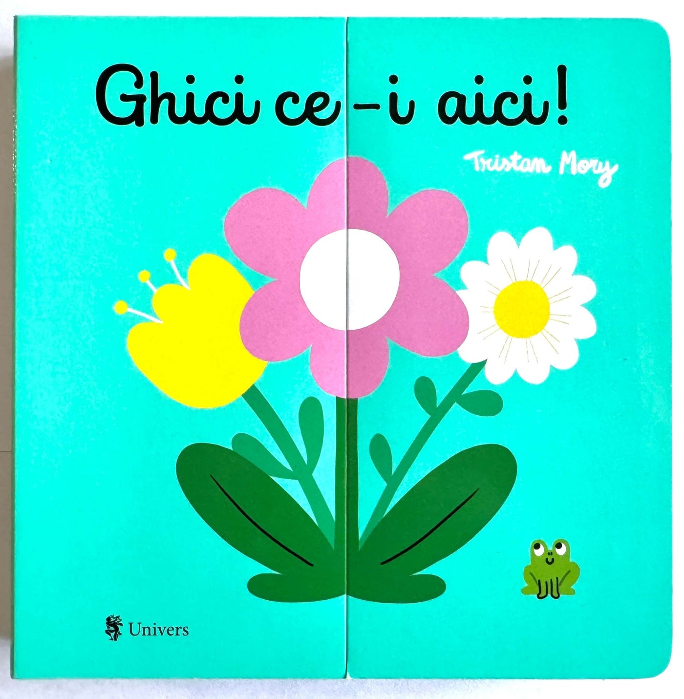 Carte copii - Ghici ce-i aici