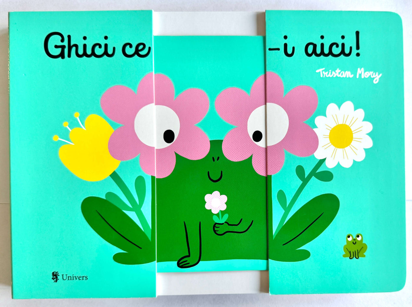 Carte copii - Ghici ce-i aici