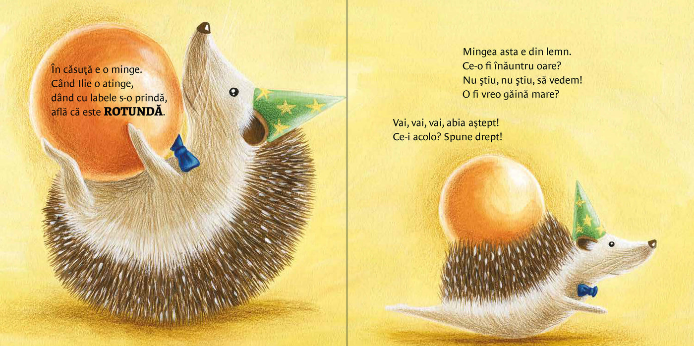 Carte copii - Un cadou pentru Ilie, Olina Ortiz