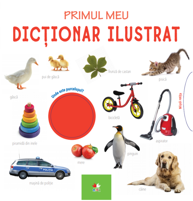 Carte copii - Primul meu dicționar ilustrat